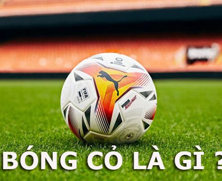 Bóng cỏ là gì? Kinh nghiệm đánh bóng cỏ hiệu quả